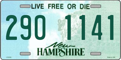 NH license plate 2901141