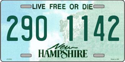NH license plate 2901142