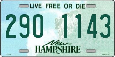 NH license plate 2901143