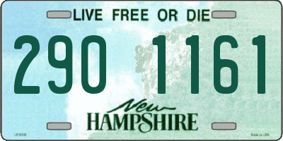 NH license plate 2901161