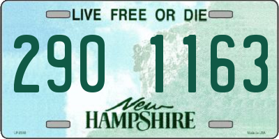 NH license plate 2901163