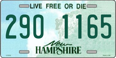 NH license plate 2901165