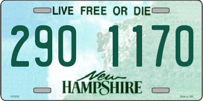 NH license plate 2901170