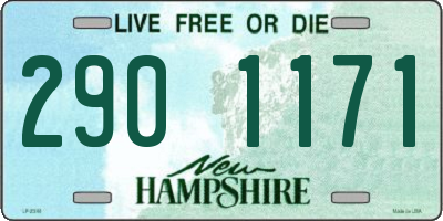 NH license plate 2901171
