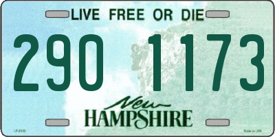 NH license plate 2901173