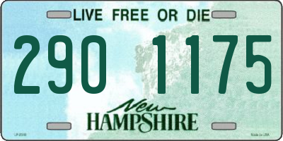 NH license plate 2901175