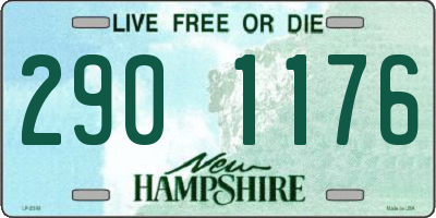 NH license plate 2901176