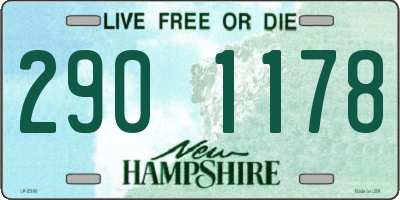 NH license plate 2901178