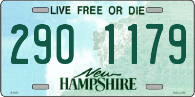 NH license plate 2901179