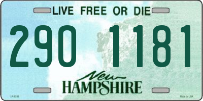 NH license plate 2901181