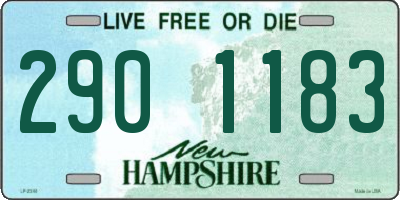 NH license plate 2901183