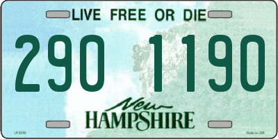 NH license plate 2901190