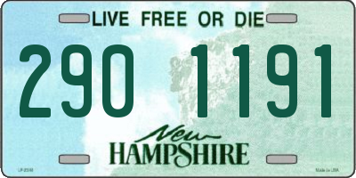 NH license plate 2901191