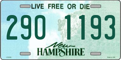 NH license plate 2901193