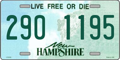 NH license plate 2901195