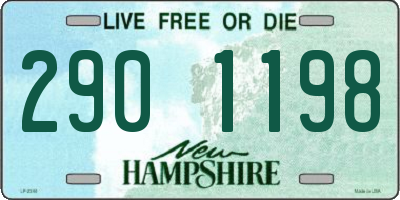 NH license plate 2901198