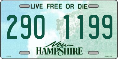 NH license plate 2901199