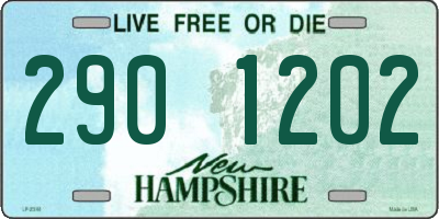 NH license plate 2901202