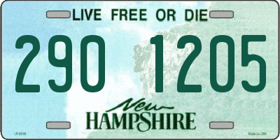 NH license plate 2901205