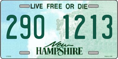 NH license plate 2901213