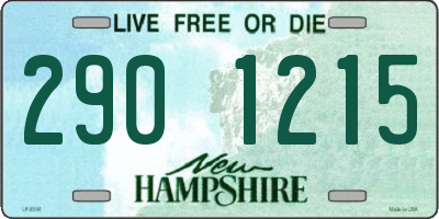 NH license plate 2901215