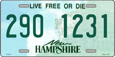 NH license plate 2901231