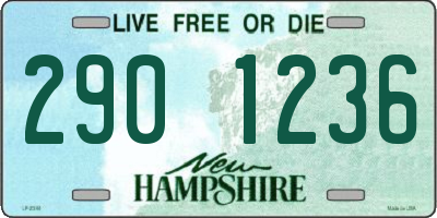 NH license plate 2901236