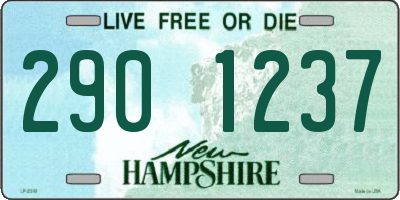 NH license plate 2901237