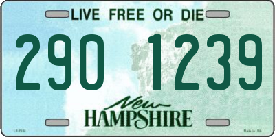 NH license plate 2901239