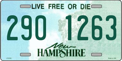 NH license plate 2901263