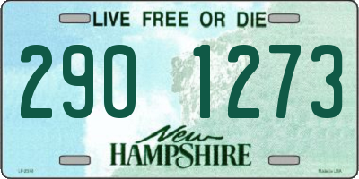 NH license plate 2901273