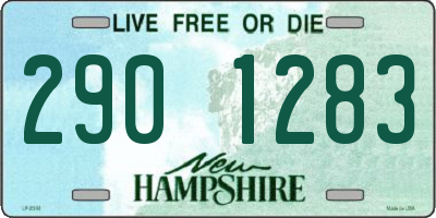 NH license plate 2901283