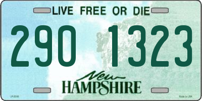 NH license plate 2901323