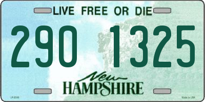 NH license plate 2901325