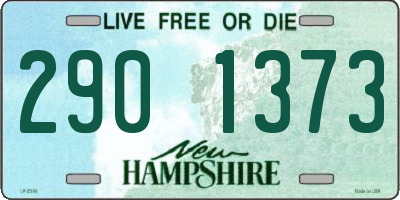 NH license plate 2901373