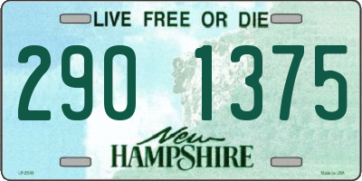 NH license plate 2901375