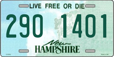 NH license plate 2901401