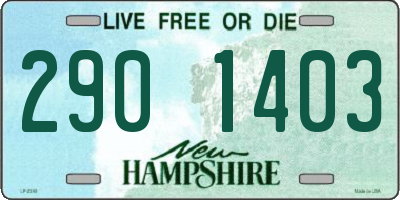 NH license plate 2901403