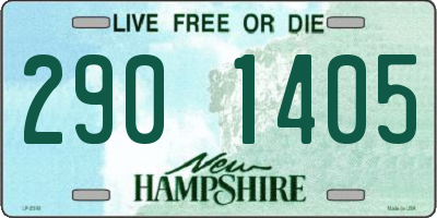 NH license plate 2901405