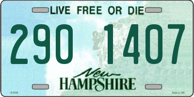 NH license plate 2901407