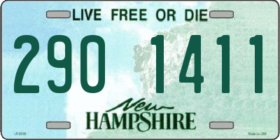 NH license plate 2901411