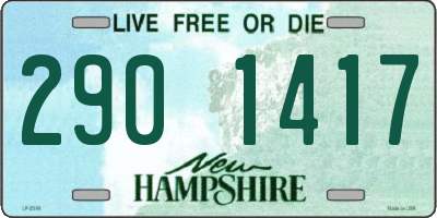 NH license plate 2901417