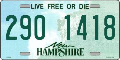 NH license plate 2901418