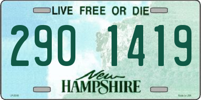 NH license plate 2901419