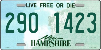 NH license plate 2901423