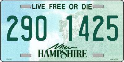NH license plate 2901425