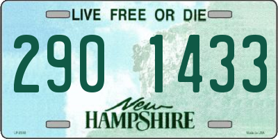 NH license plate 2901433