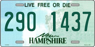 NH license plate 2901437
