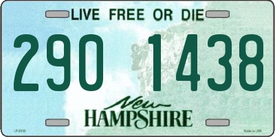 NH license plate 2901438