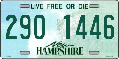 NH license plate 2901446